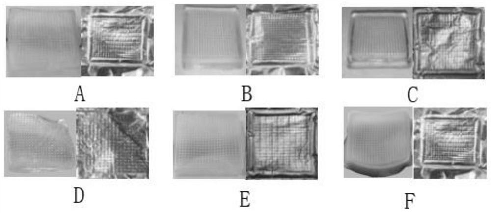 A kind of triptolide self-dissolving microneedle