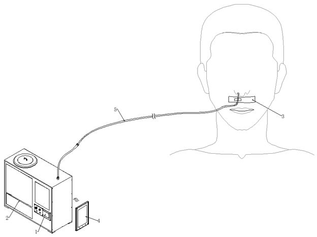 Nasogastric feeding tube nursing device and method for stroke patient with dysphagia