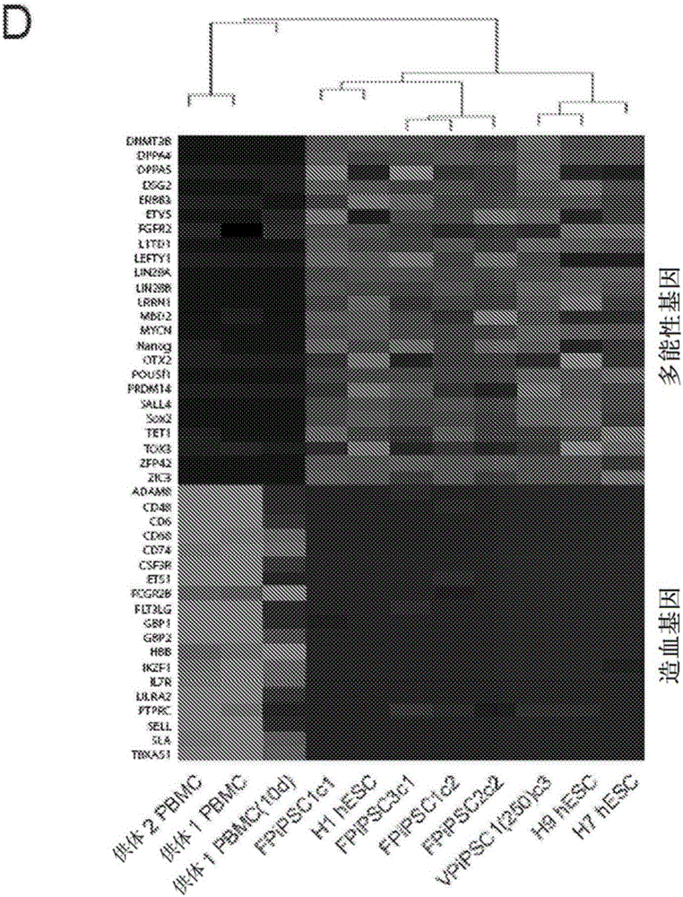 Method for inducing pluripotency in a hematopoietic cell