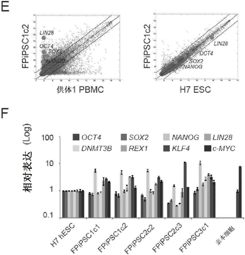 Method for inducing pluripotency in a hematopoietic cell