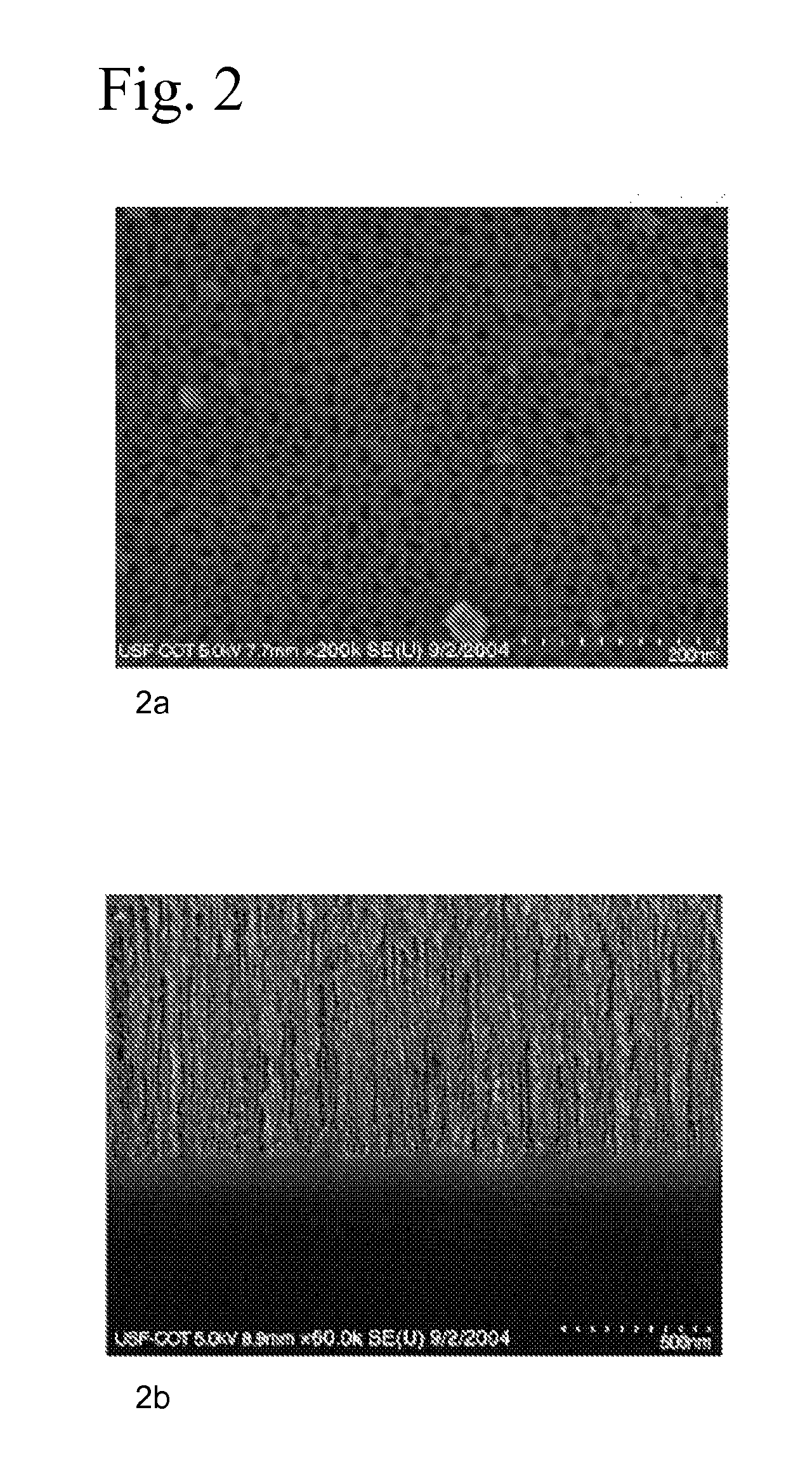 Hydrogen sensor