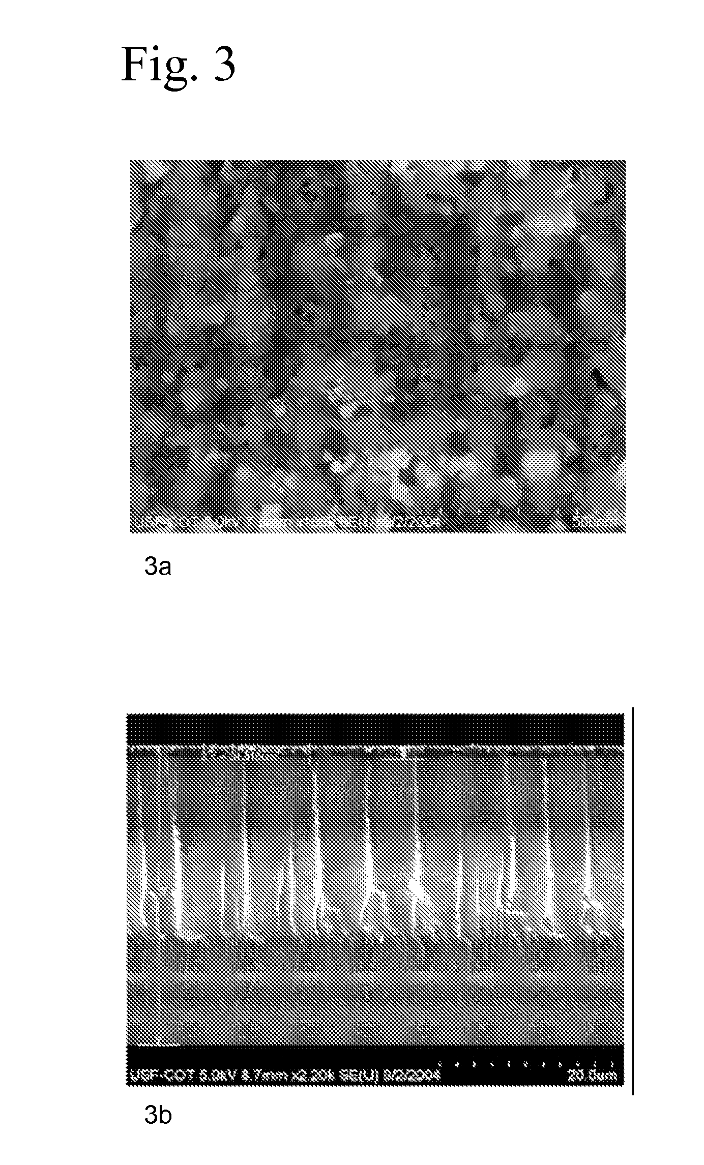 Hydrogen sensor