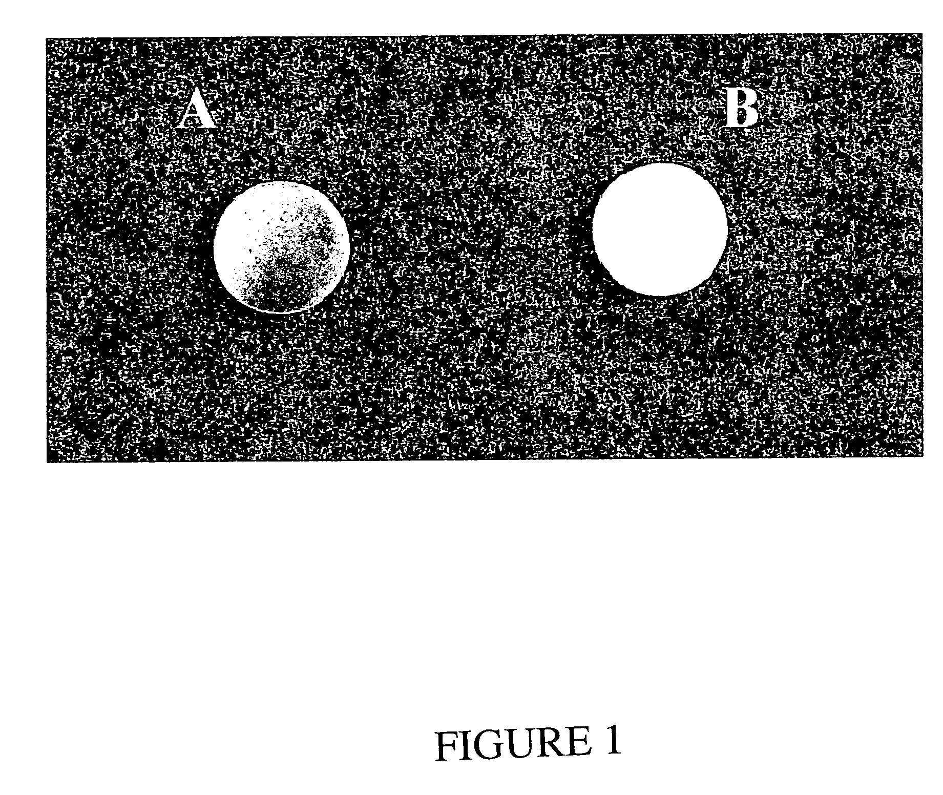 Adherent apatite coating on titanium substrate using chemical deposition