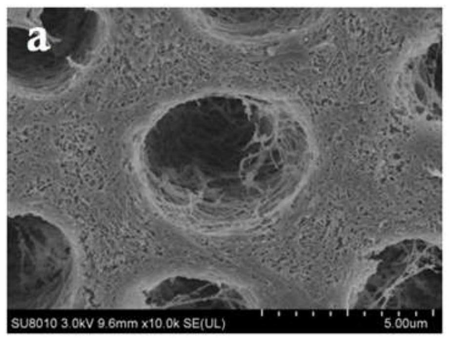 A tooth mineralization solution and its mineralization method