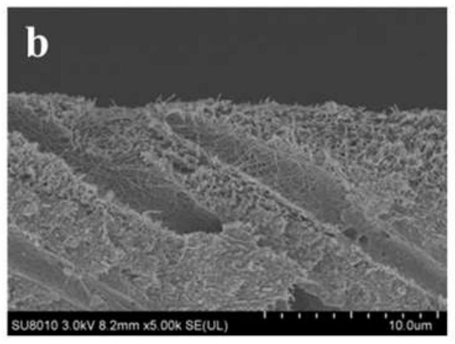 A tooth mineralization solution and its mineralization method