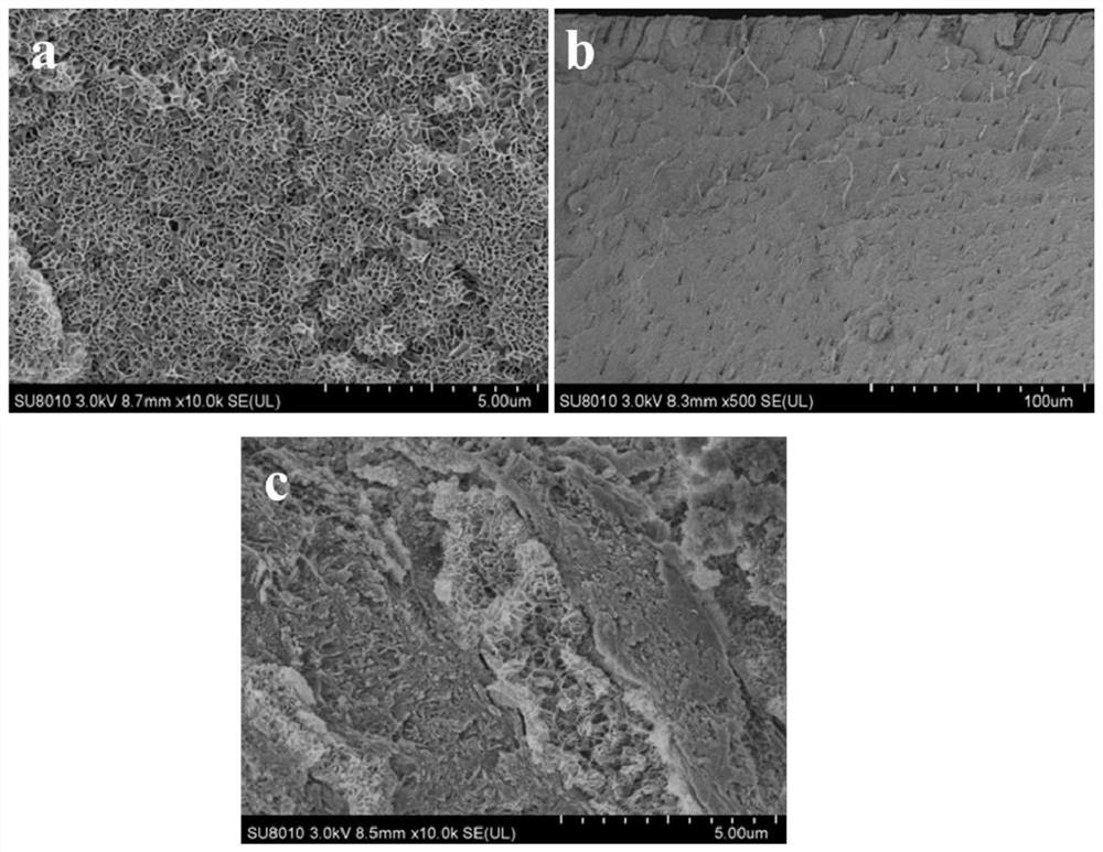 A tooth mineralization solution and its mineralization method