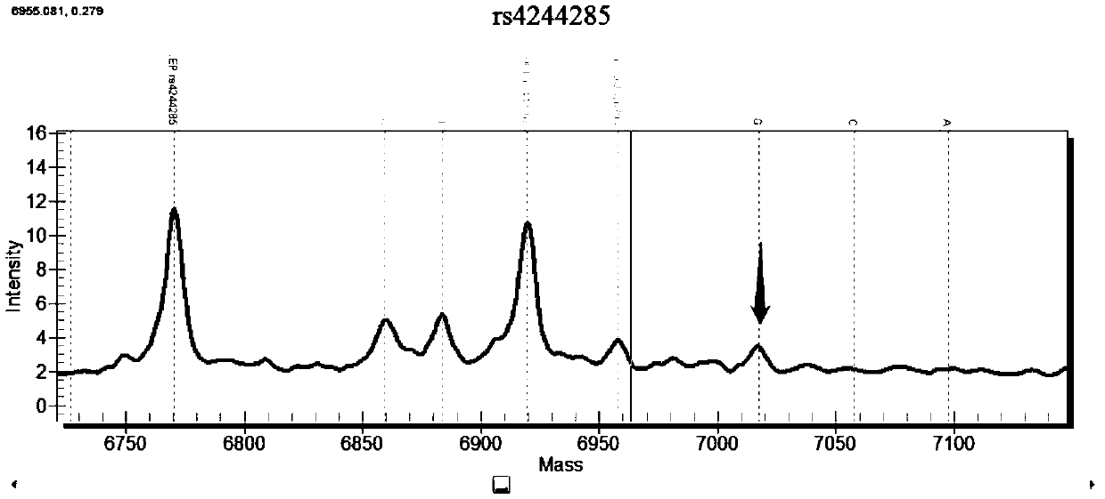 Primer group, reagent and/or kit and system for detecting lung cancer chemotherapy related genes, and application