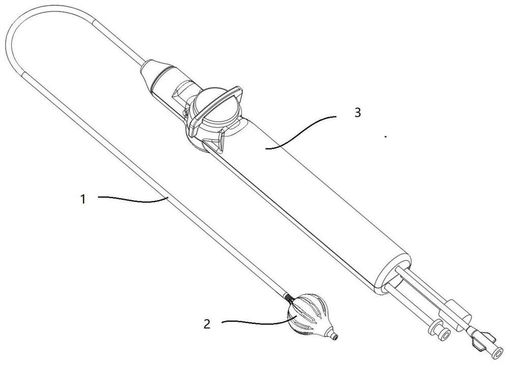 Heart electric pulse partition balloon catheter device