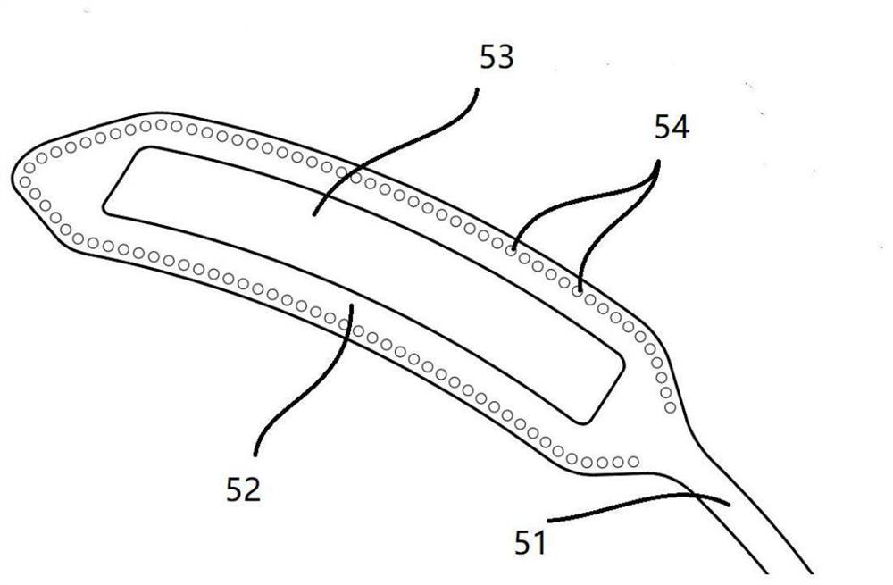 Heart electric pulse partition balloon catheter device