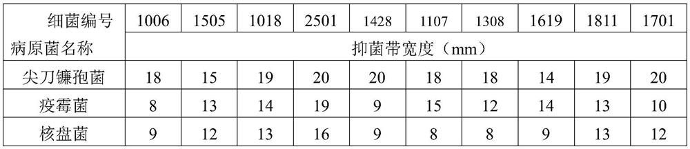 Pseudomonas chlororaphis subsp.aurantiaca as well as preparation and application of microbial agent thereof