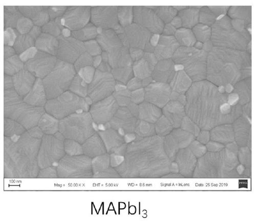 Preparation method of perovskite thin film with introduced with capsaicine