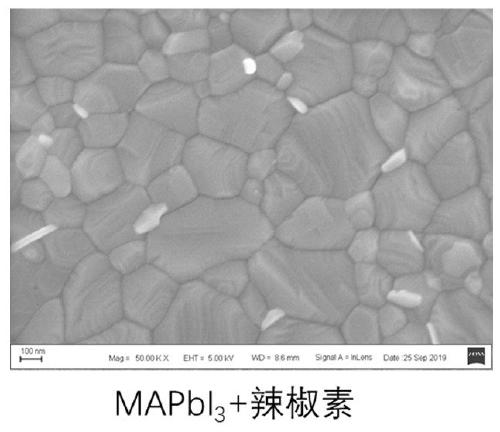 Preparation method of perovskite thin film with introduced with capsaicine