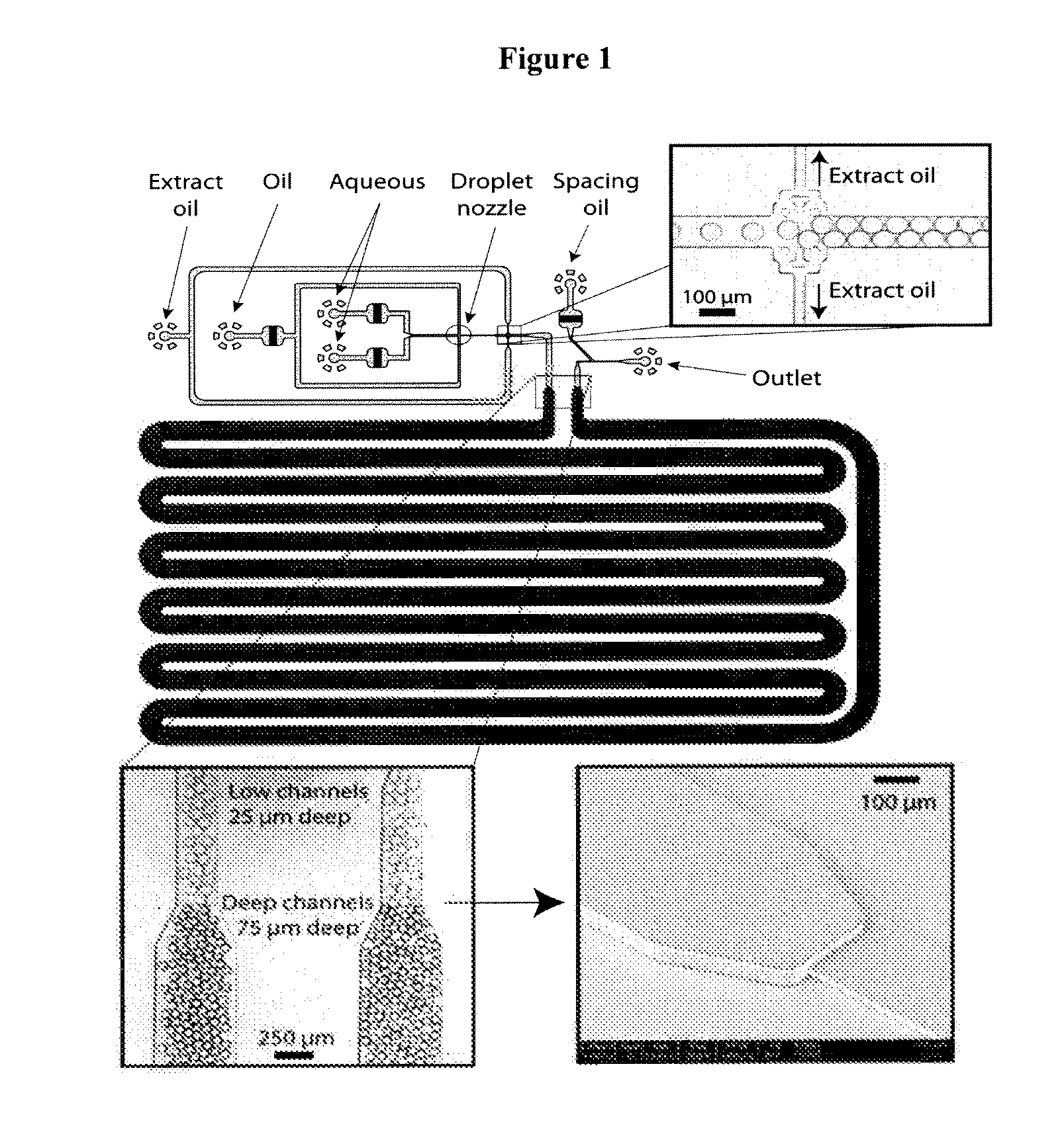 Microfluidic devices for reliable on-chip incubation of droplets in delay lines