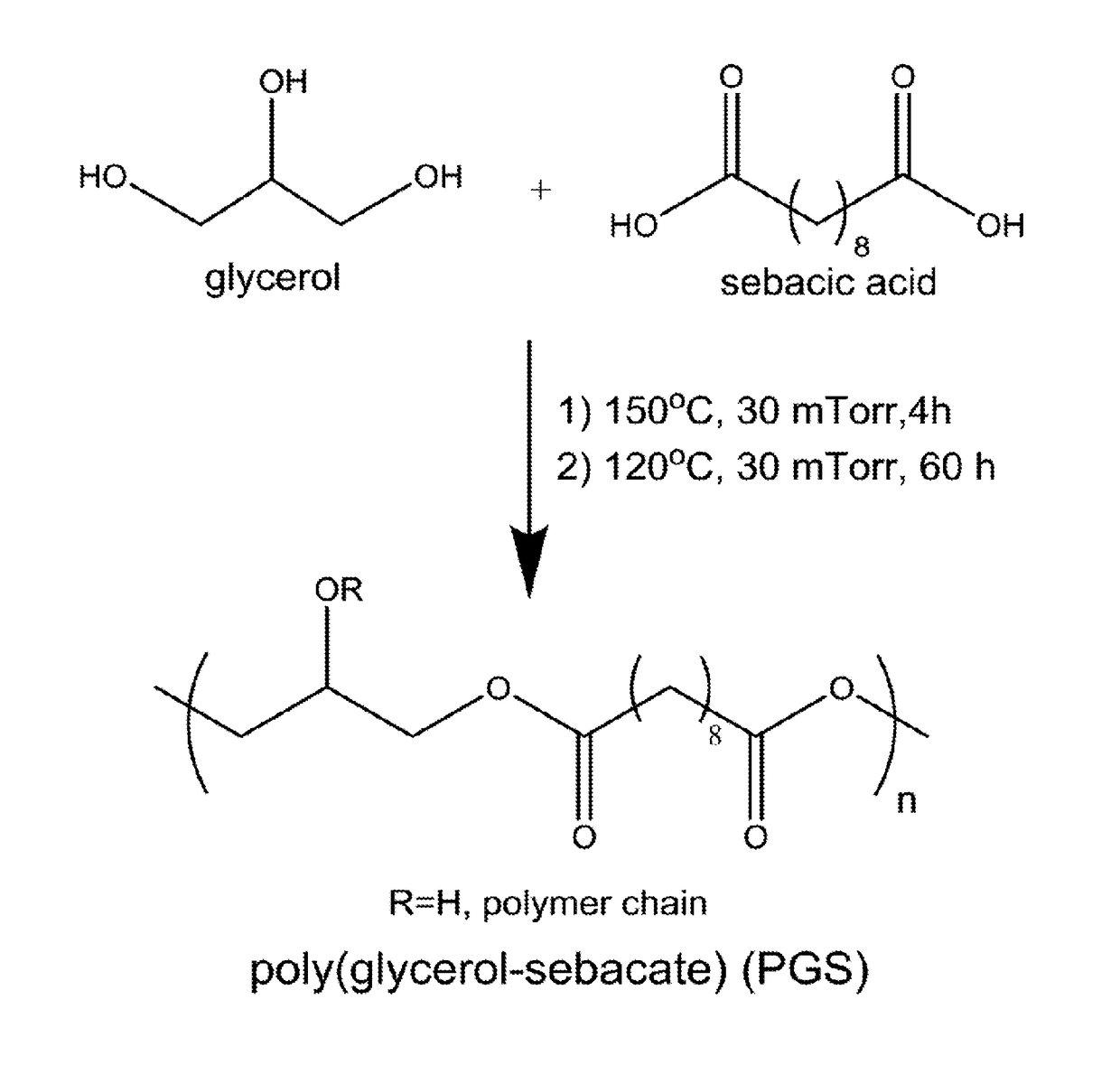 Synthesis and use of poly(glycerol-sebacate) films in fibroblast growth regulation