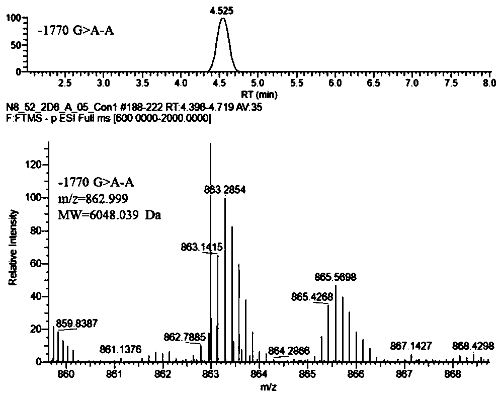 Detection method of types of CYP2D6 gene