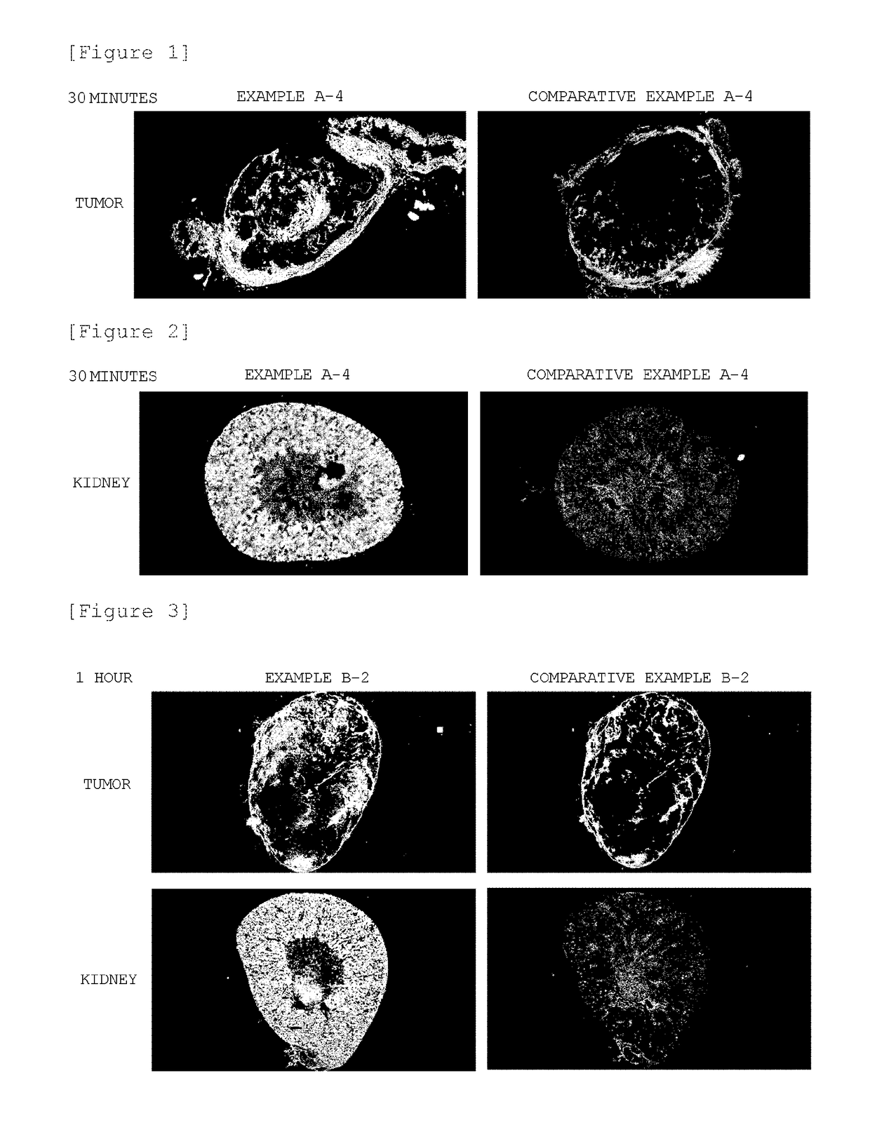 Block Copolymer Conjugate Of Physiologically Active Substance