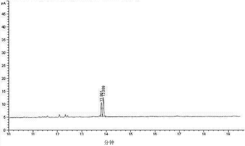 Wedelia prostrate polysaccharide as well as preparation method and application of wedelia prostrate polysaccharide