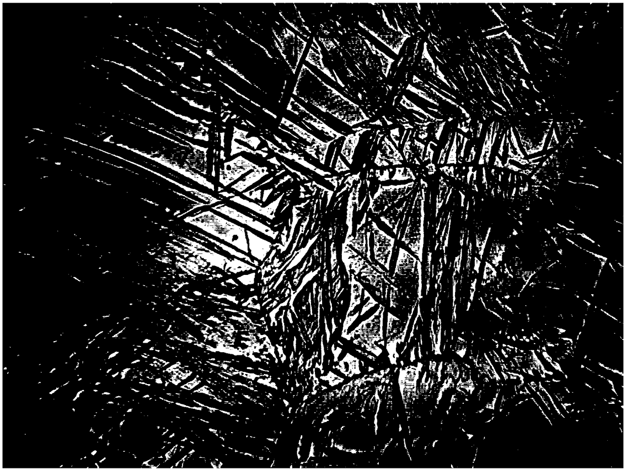 Grain distribution controlled two-peak texture ZK21 magnesium alloy preparation method