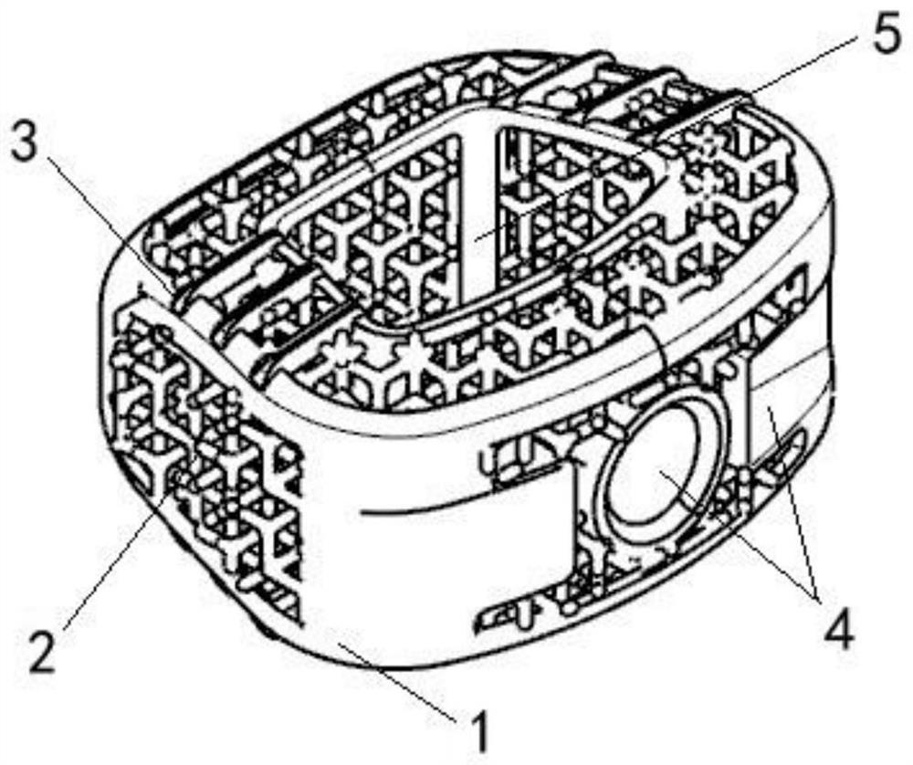 3D printing porous interbody fusion cage