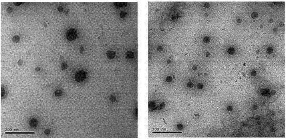 Microemulsion for delaying oxidization of feed oil and preparation method thereof