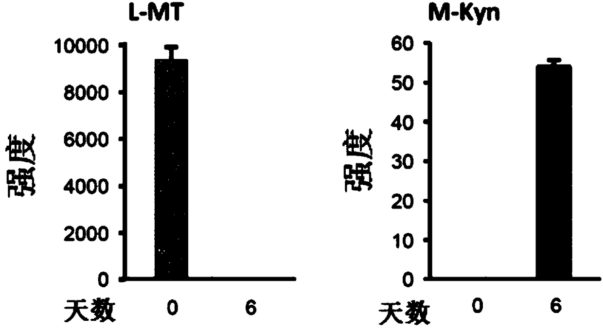 Isotopic methods for measurement of tryptophan and metabolites thereof