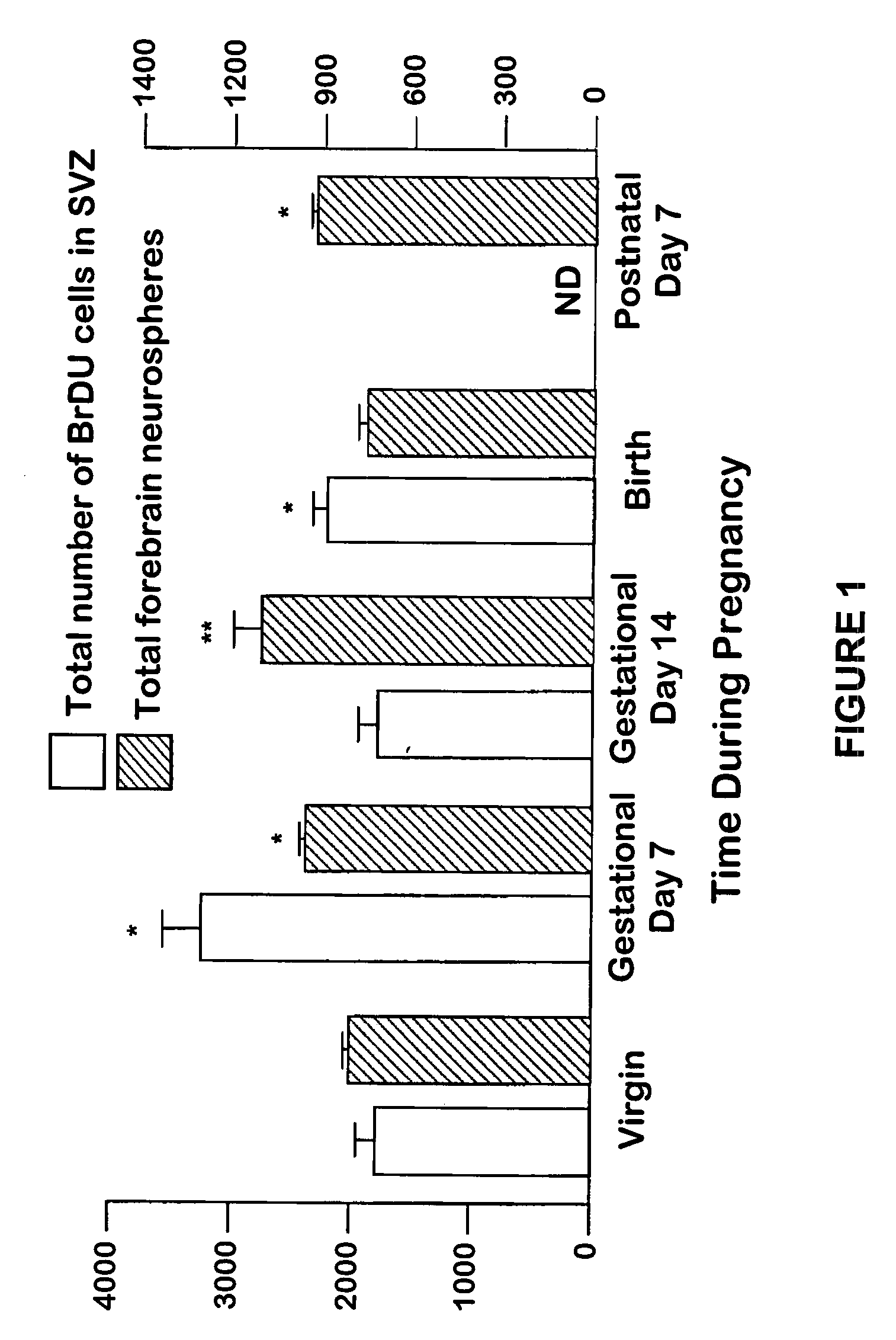 Prolactin induced increase in neural stem cell numbers