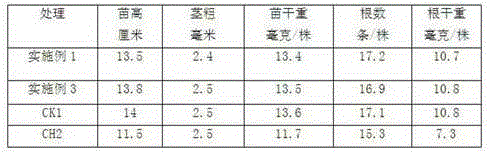 Composite seedling growing substrate for paddy rice and preparation method thereof