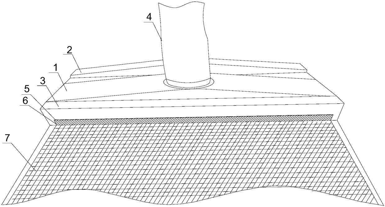 Treatment device for pre-cleaning of tempered glass outer wall