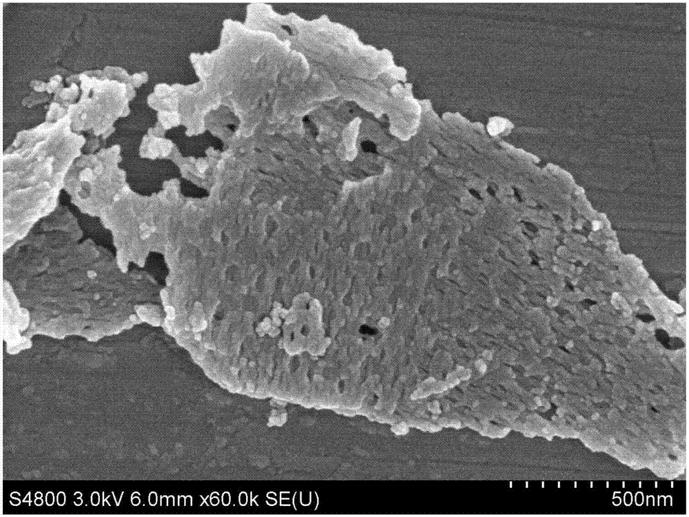 Porous lamellar-structured titanic acid particle and preparation method thereof