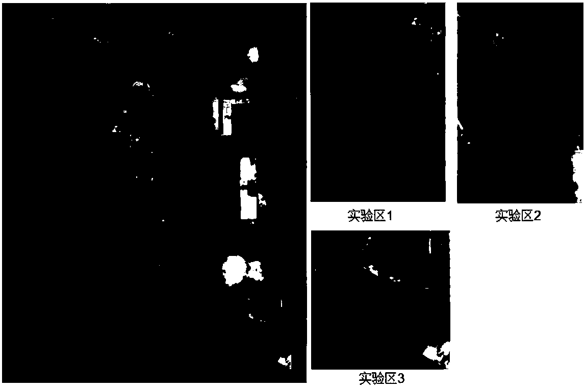 Coastline super-resolution mapping method and coastline super-resolution mapping system based on semi-global optimization