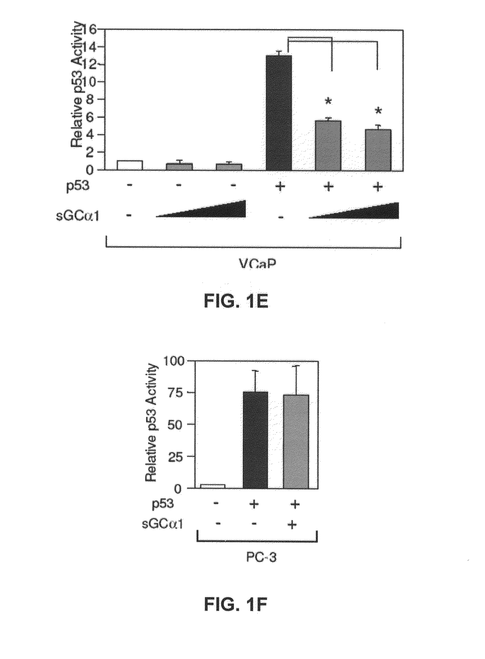 sGCalpha1 Inhibiting Compositions, and Methods of Treatment of Cancers Therewith