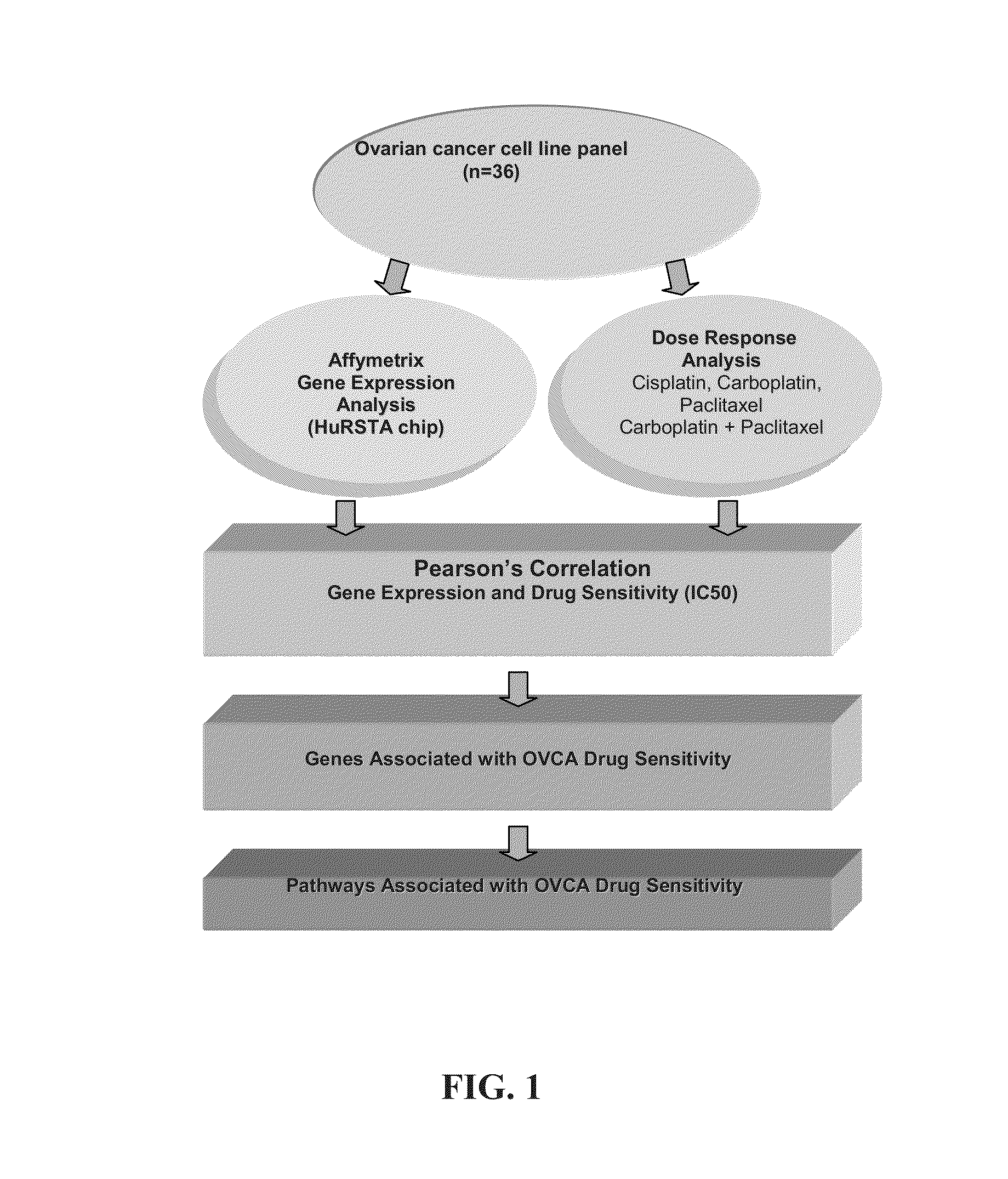 Compositions and Methods APC, CREB, and BAD Pathways to Assess and Affect Cancer