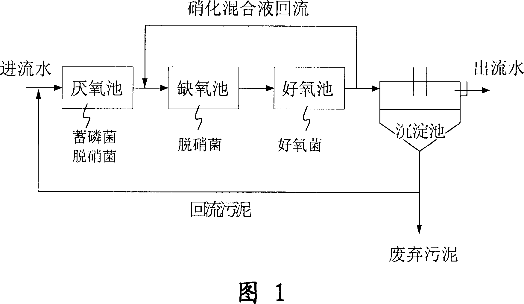 Wastewater treatment system and method for removing carbon, nitrogen, phosphor in wastewater