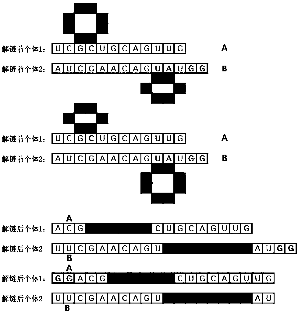 Modeling method for support vector machine for bridge crane through bulged ring crossover operation RNA-GA