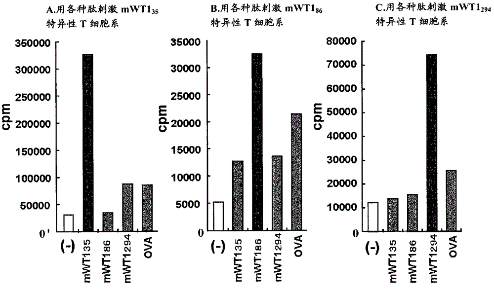 Cancer antigen helper peptide