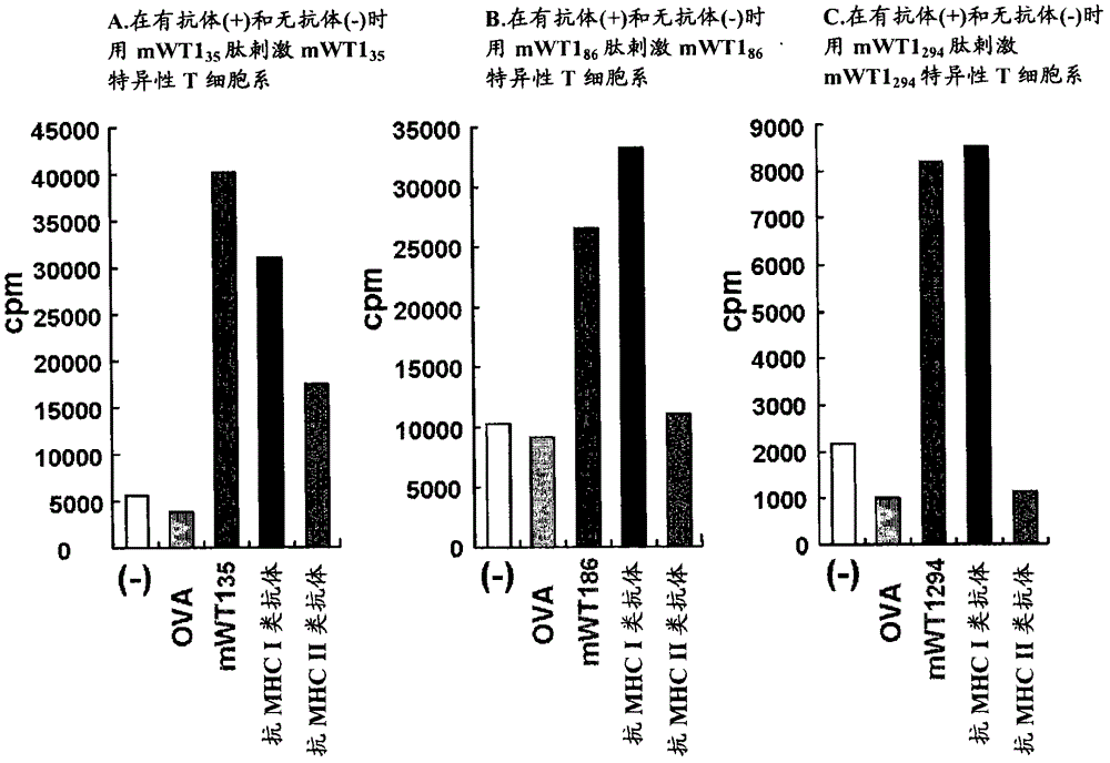 Cancer antigen helper peptide