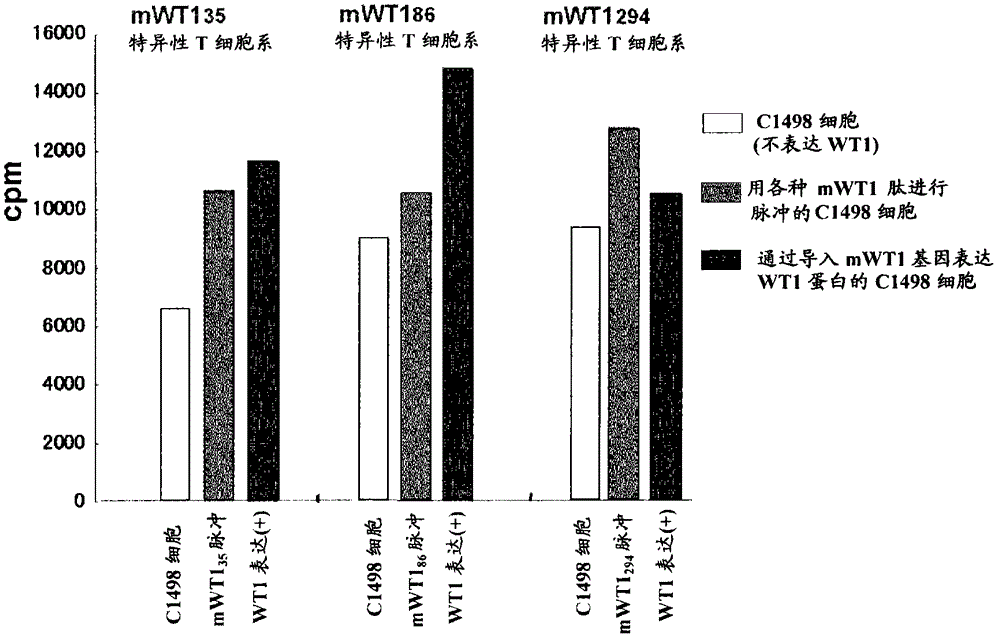 Cancer antigen helper peptide