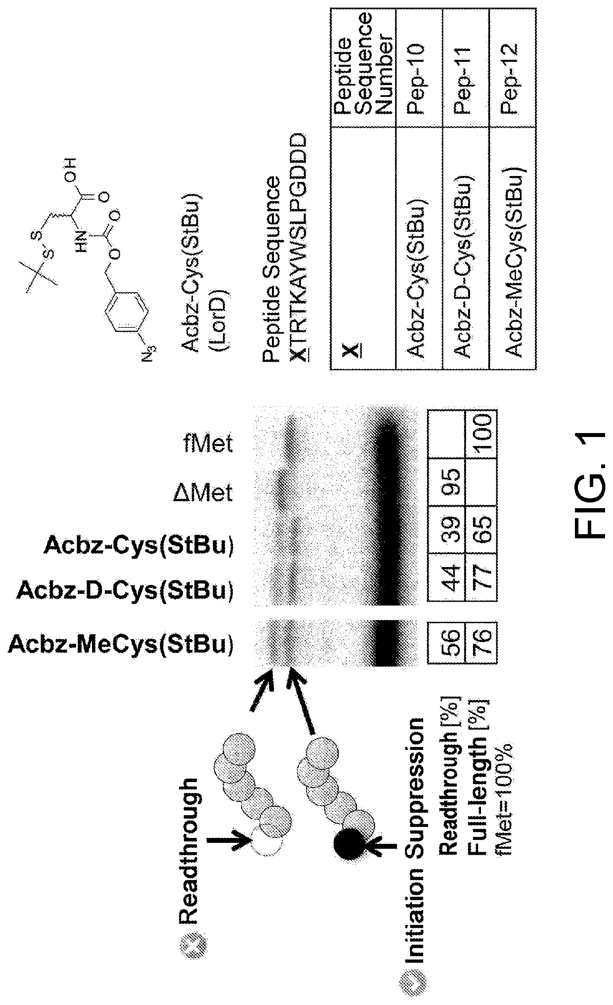 Production method for noncyclic peptide-nucleic acid complex having, at n-terminal, amino acid with thiol group near amino group, library thereof, and cyclic peptide-nucleic acid complex library derived from same