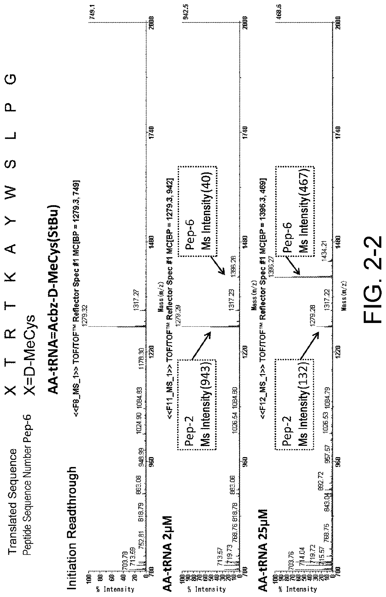 Production method for noncyclic peptide-nucleic acid complex having, at n-terminal, amino acid with thiol group near amino group, library thereof, and cyclic peptide-nucleic acid complex library derived from same