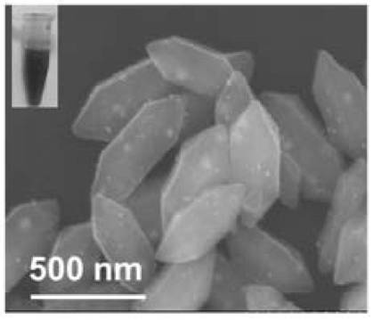 A novel hybrid metal nanomaterial, its preparation method and its application in matrix-assisted laser desorption ionization mass spectrometry