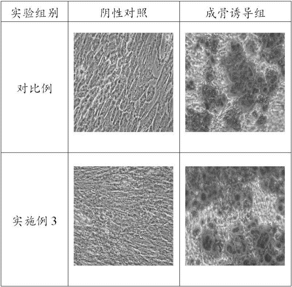 Periodontal ligament stem cell cryoprotectant and cryopreservation method thereof