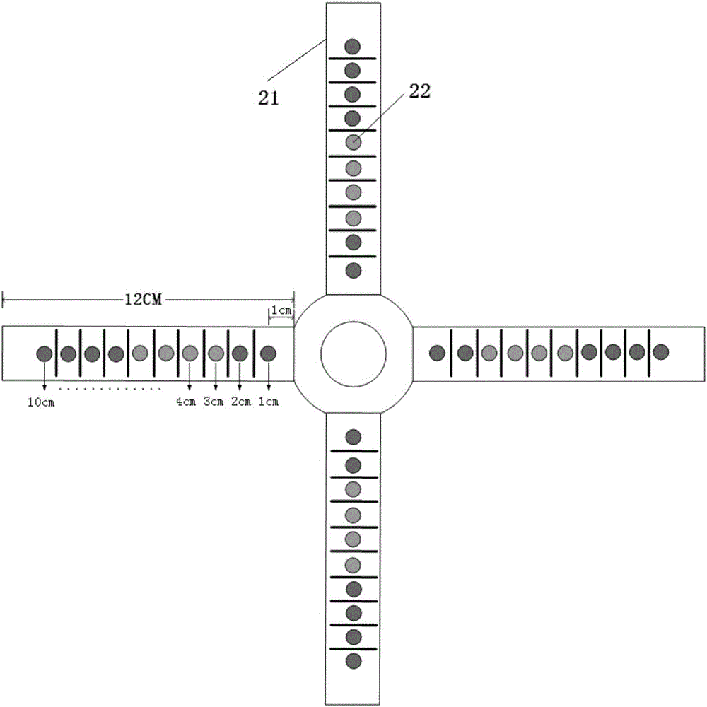 Auxiliary scale for observing icing of power transmission line