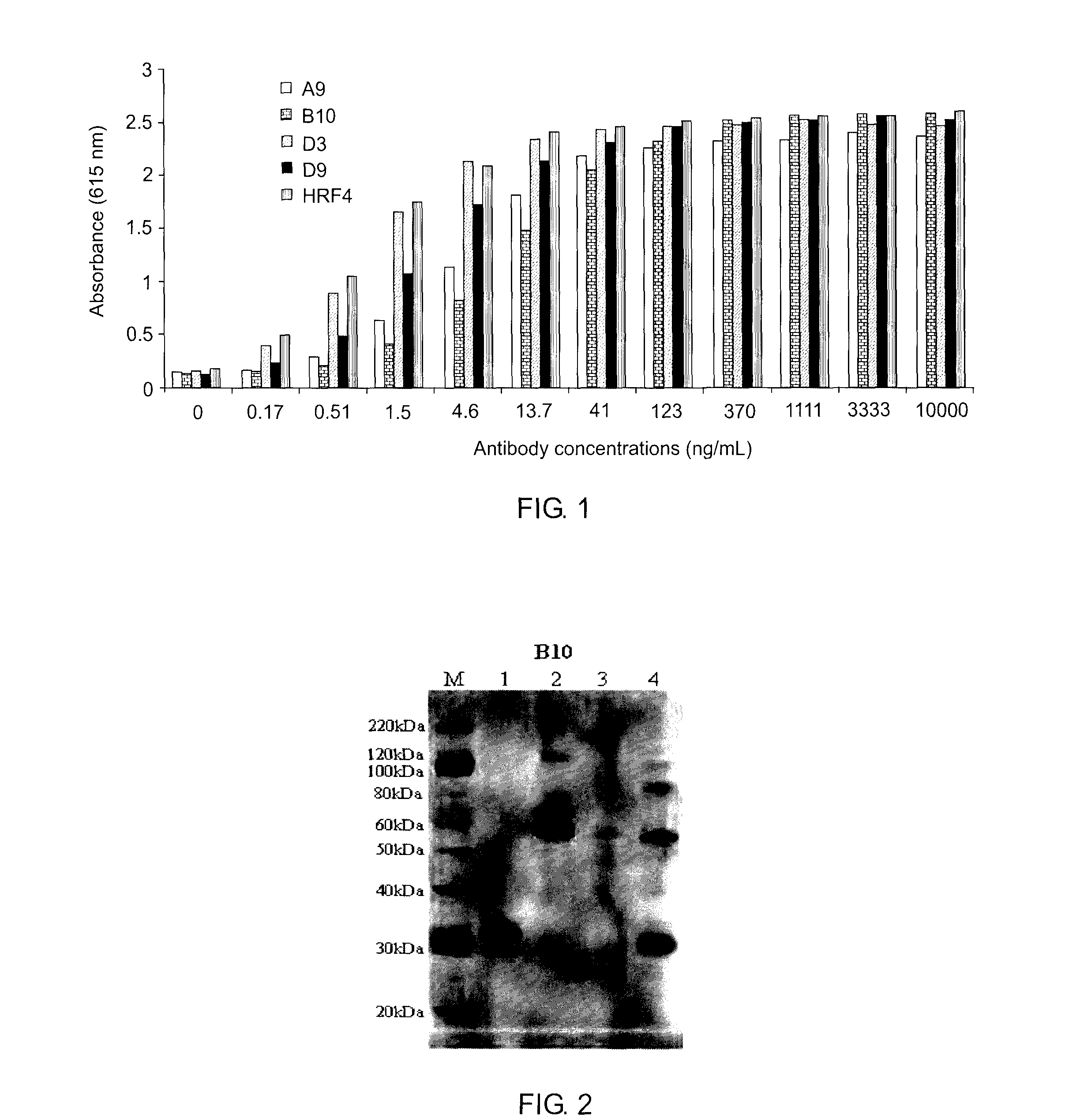 Anti-ricin antibodies and uses thereof