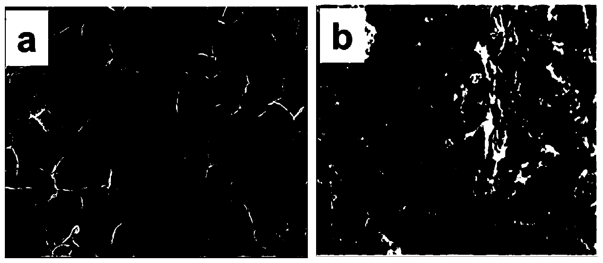 A kind of high-performance carbon nanotube/graphene oxide aerogel/polystyrene composite material and preparation method thereof