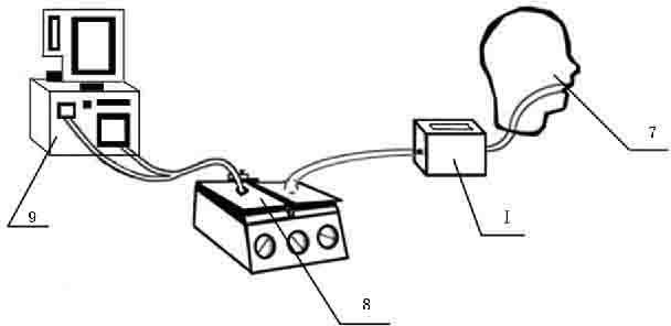 Apparatus for actively simulating autonomous respiration of human body in vitro and gas analyzing method employing the same