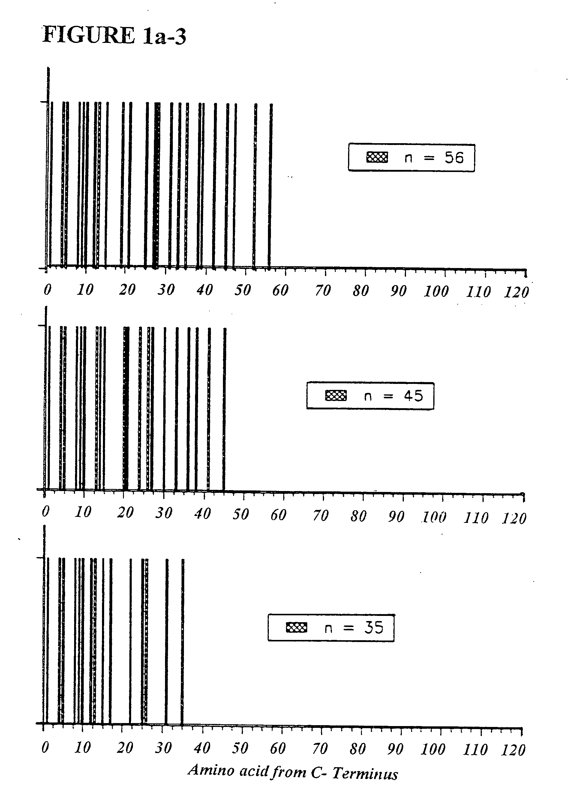 Copolymer 1 related polypeptides for use as molecular weight markers and for therapeutic use