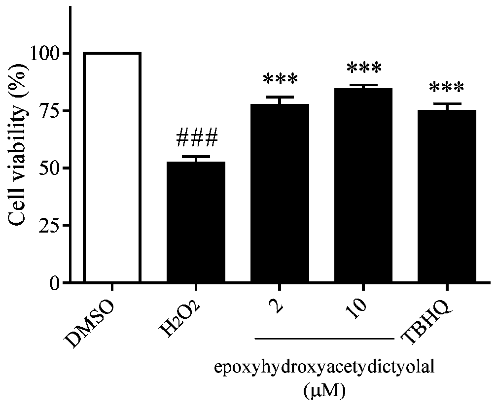 Application of xenicane type diterpenoid compound to preparation of antioxidative neuroprotective drugs