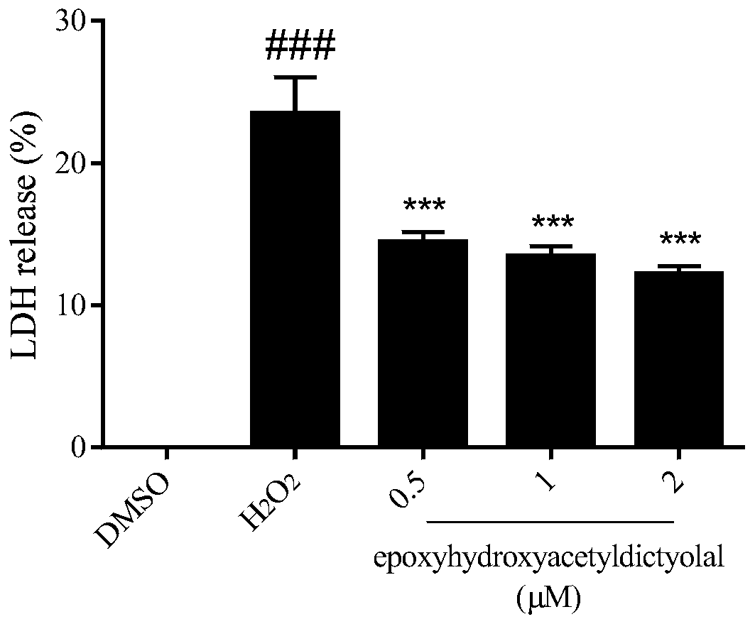 Application of xenicane type diterpenoid compound to preparation of antioxidative neuroprotective drugs