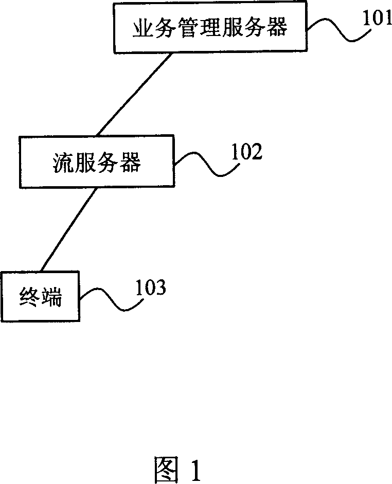 System and method for realizing fluid medium advertisement