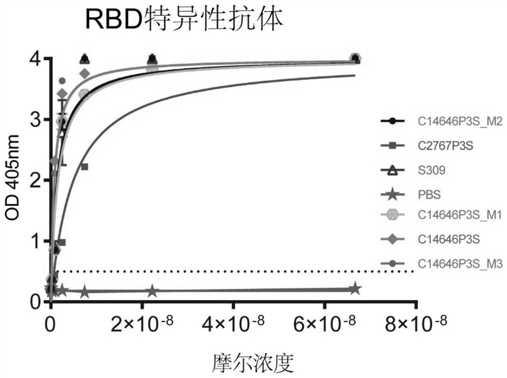 Neutralizing antibody against novel coronavirus receptor binding regions and application thereof